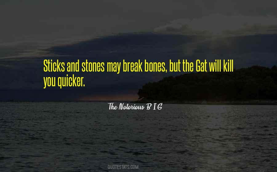Sticks Stones Quotes #273948