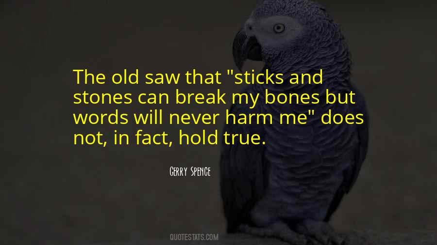 Sticks Stones Quotes #919242