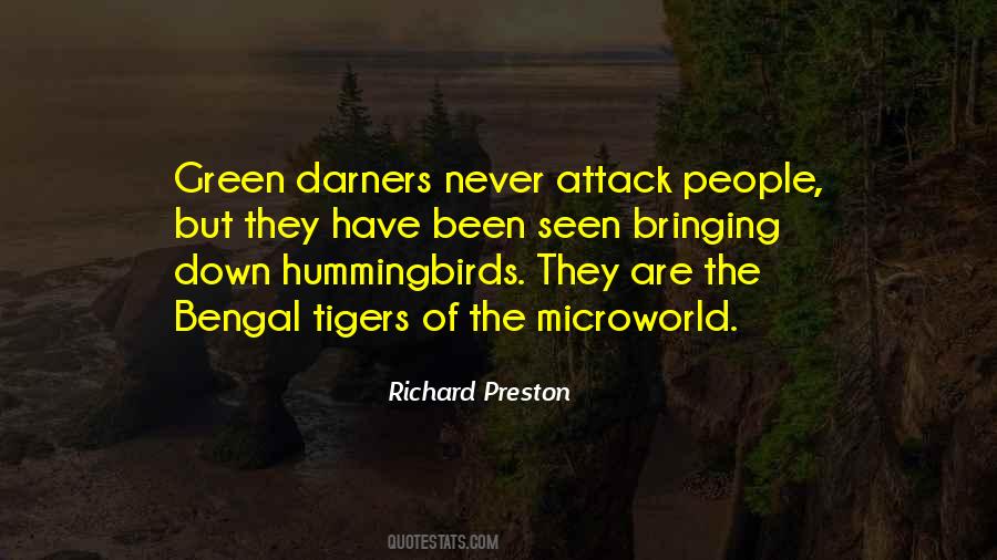 Quotes About Been Down #81269 Quotes About Been Down #81269