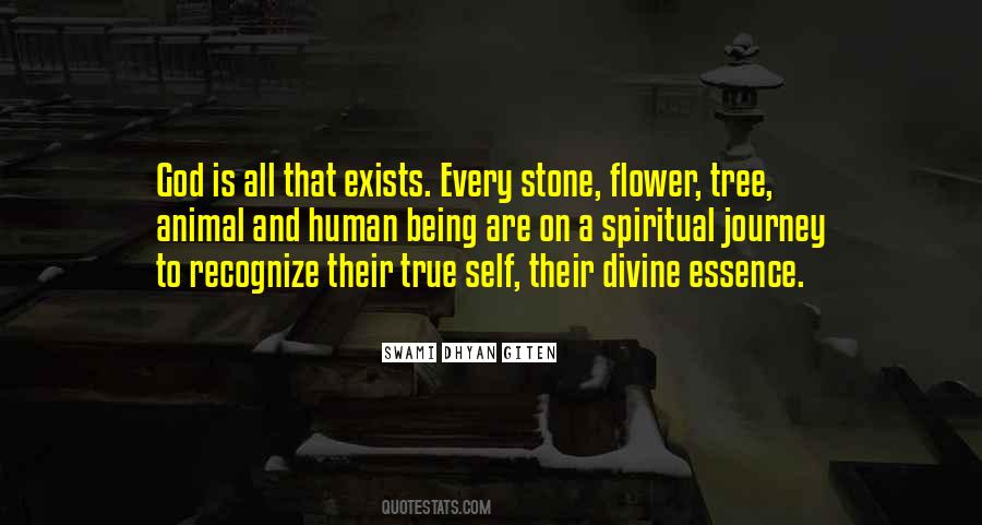 Stone And Flower Quotes #1070369
