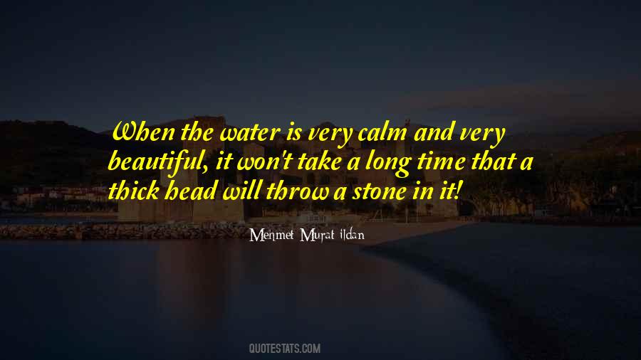 Stone In Water Quotes #1136330