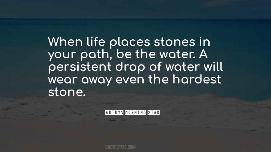 Stone In Water Quotes #823229