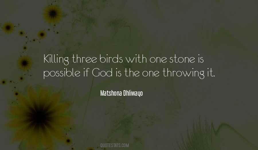 Stone Throwing Quotes #980212