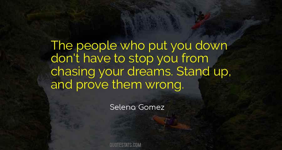 Stop Chasing Your Dreams Quotes #1683235