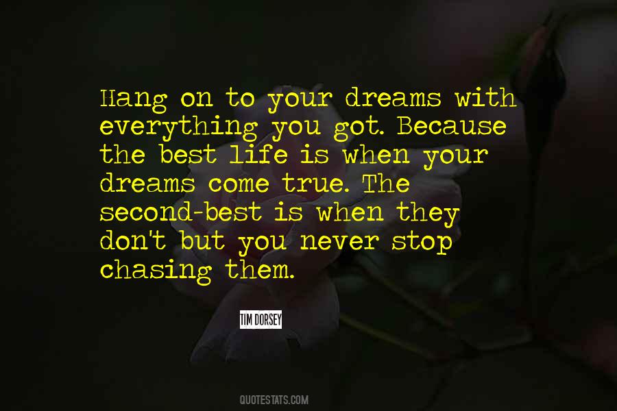 Stop Chasing Your Dreams Quotes #545751