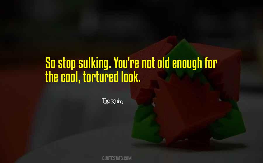 Stop Sulking Quotes #441785