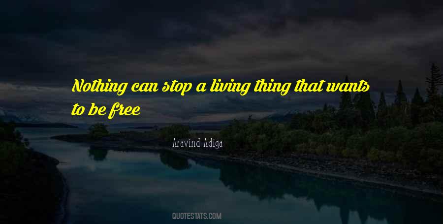 Quotes About Aravind Adiga #1183944