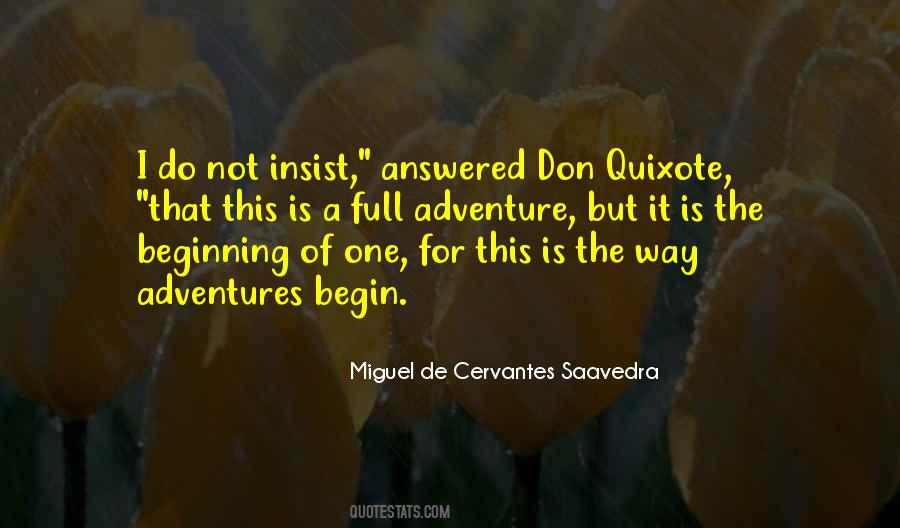 Quotes About Don Quixote #610114
