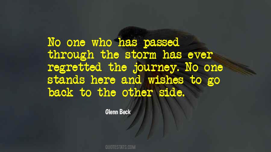 Storm Has Passed Quotes #1149186