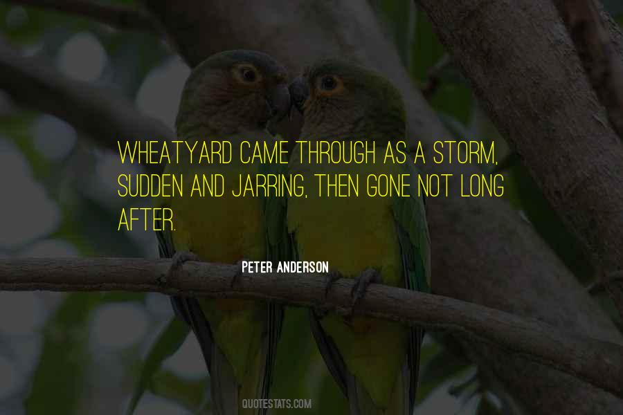 Storm Quotes #1627524