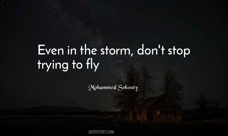 Storm Quotes #1629199