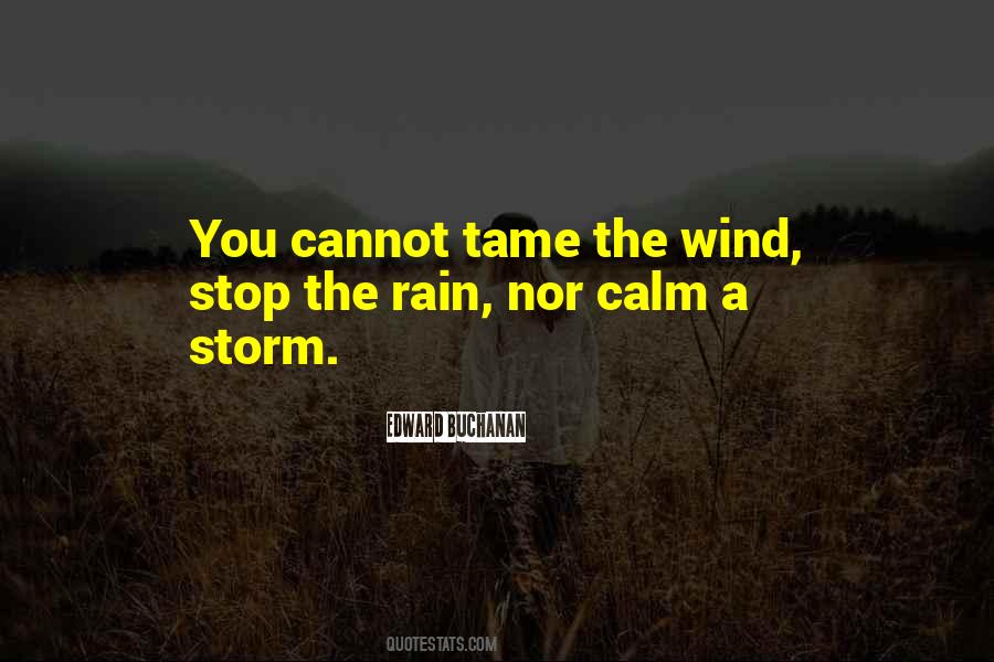 Storm Wind Quotes #1282714