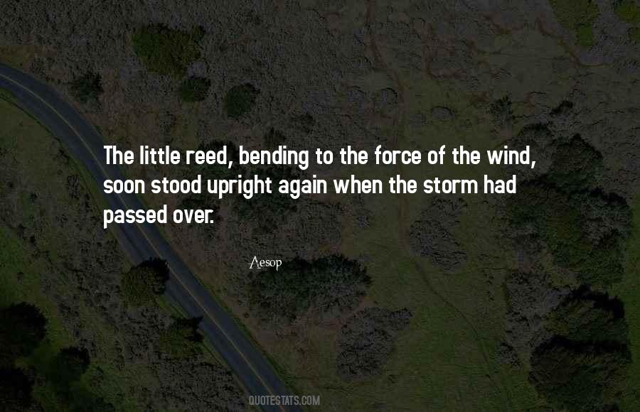 Storm Wind Quotes #164529