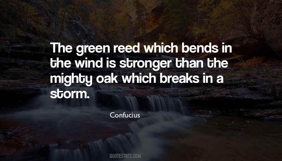 Storm Wind Quotes #75557