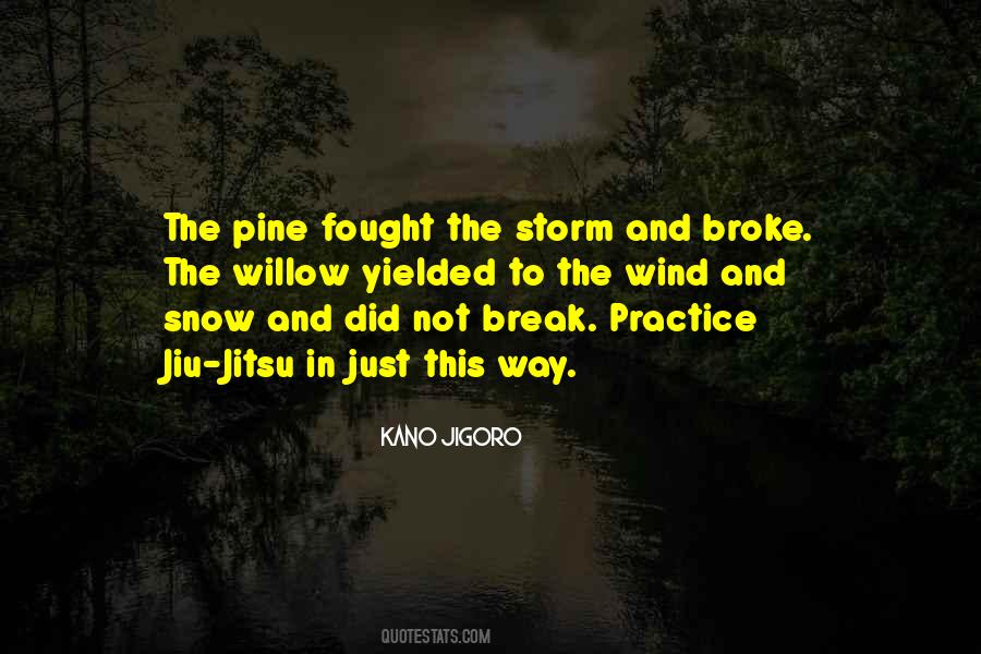 Storm Wind Quotes #841080