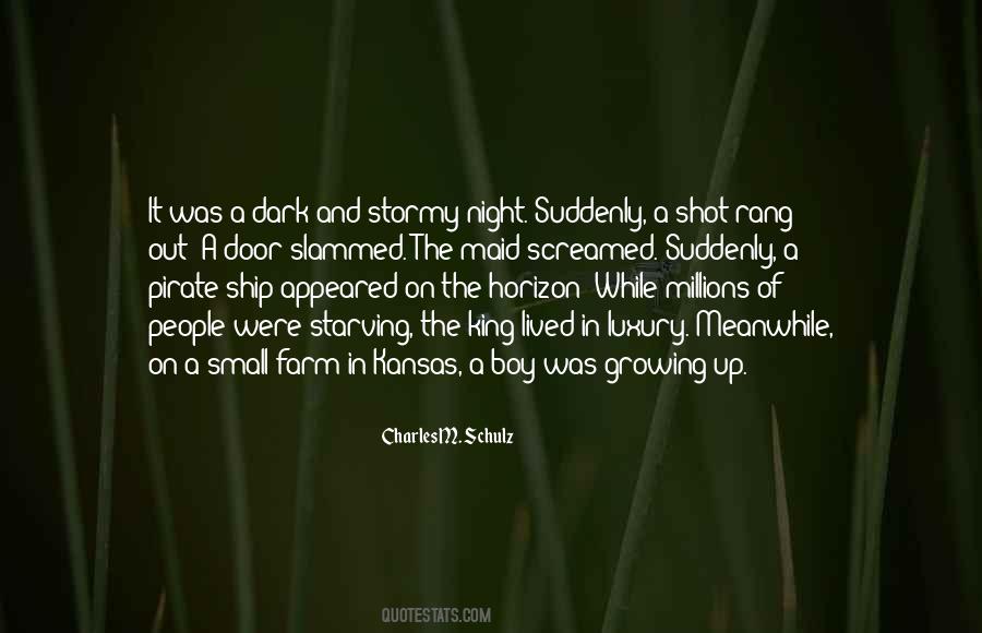 Stormy Night Quotes #1422575