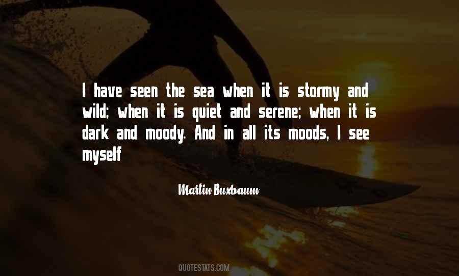 Stormy Sea Quotes #882190