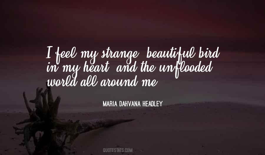 Strange But Beautiful Quotes #238314