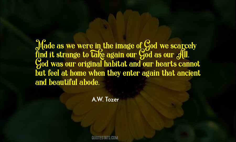 Strange But Beautiful Quotes #469439