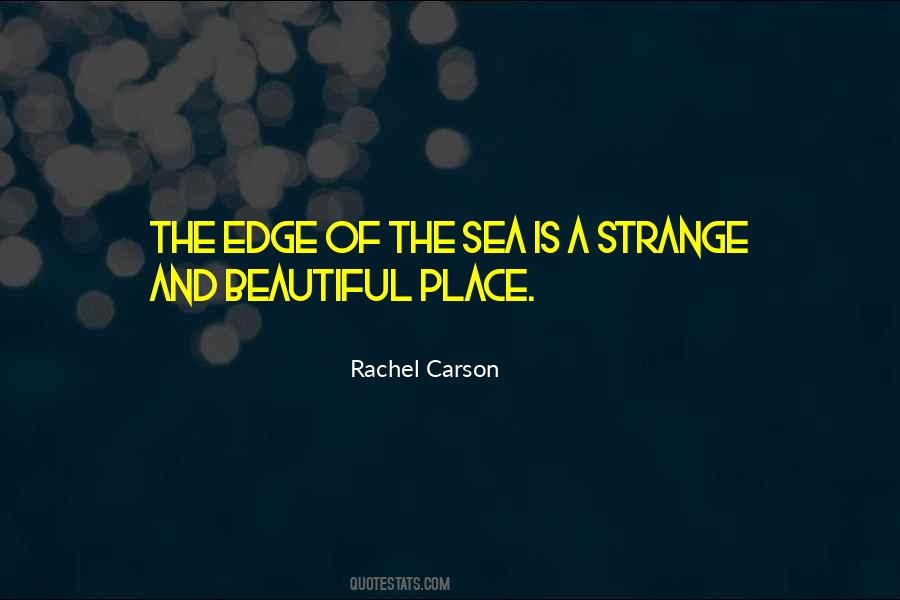 Strange But Beautiful Quotes #69757