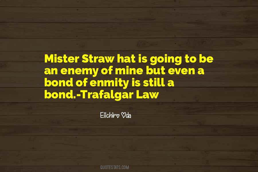 Straw Hat Quotes #58132