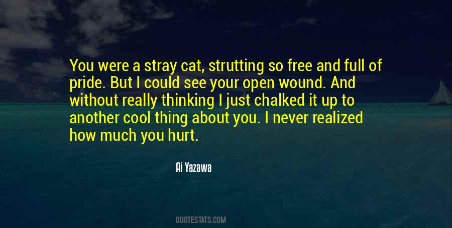 Stray Cat Quotes #627194