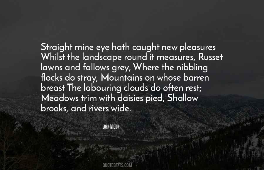 Stray Dog Quotes #221260