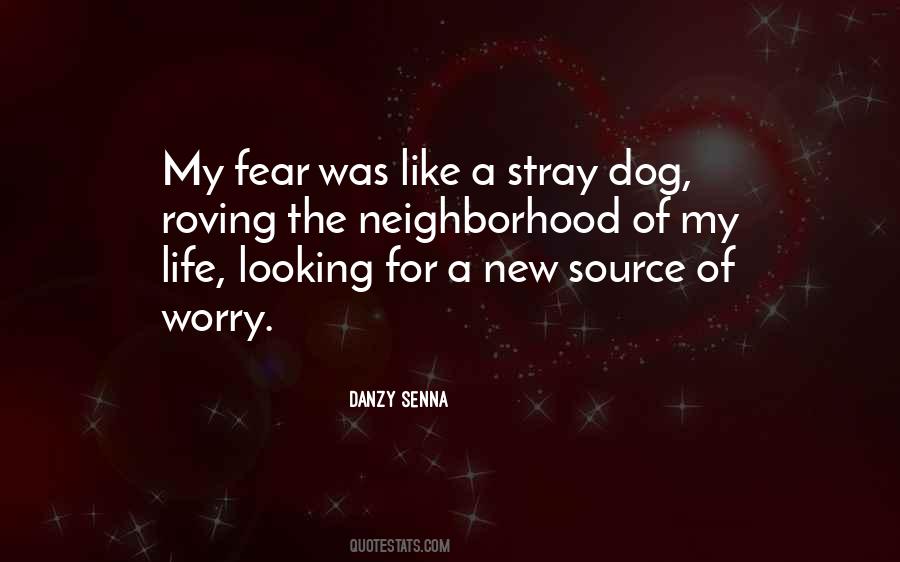 Stray Dog Quotes #274042