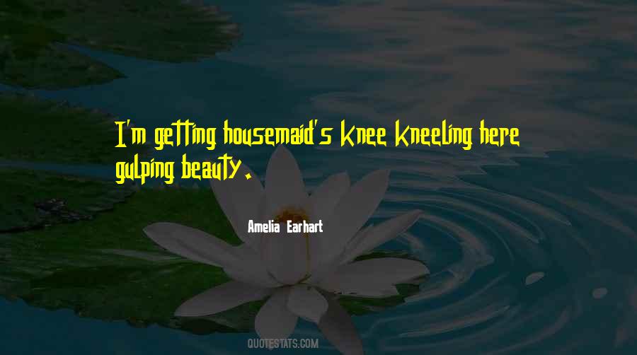 Quotes About Amelia Earhart #1715786