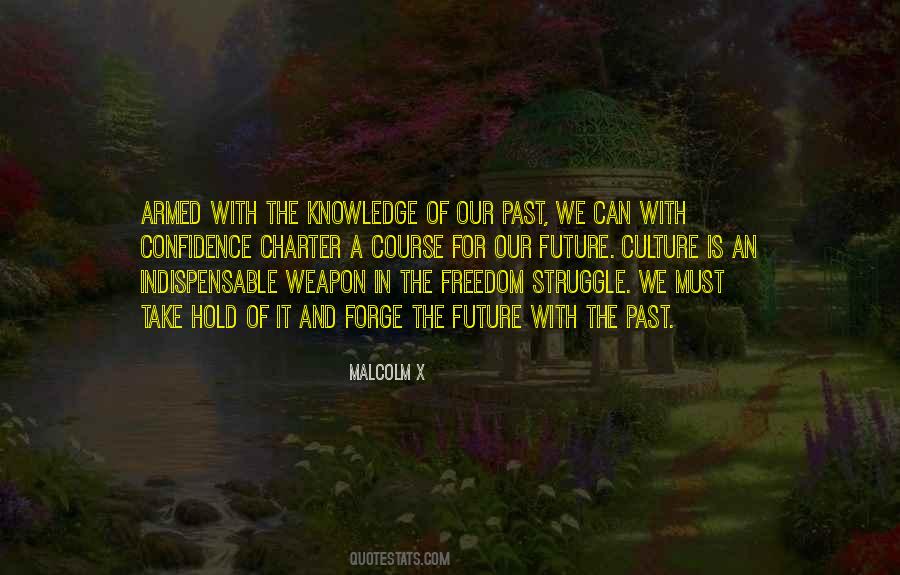 Quotes About Struggle For Freedom #1327136