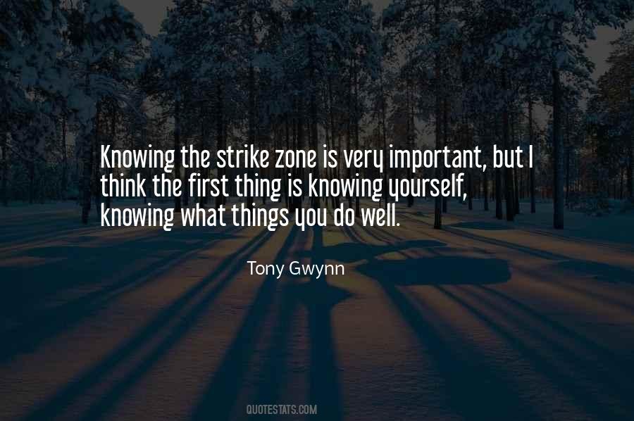 Strike Zone Quotes #266146