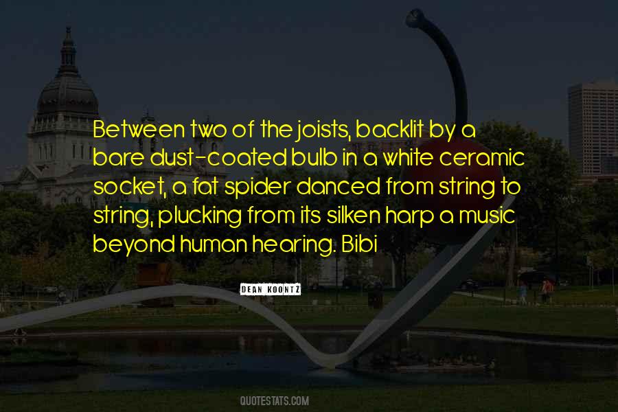 String Quotes #1256428