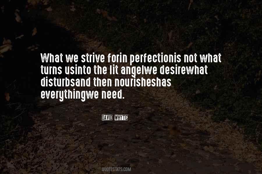 Strive For Perfection Quotes #933991