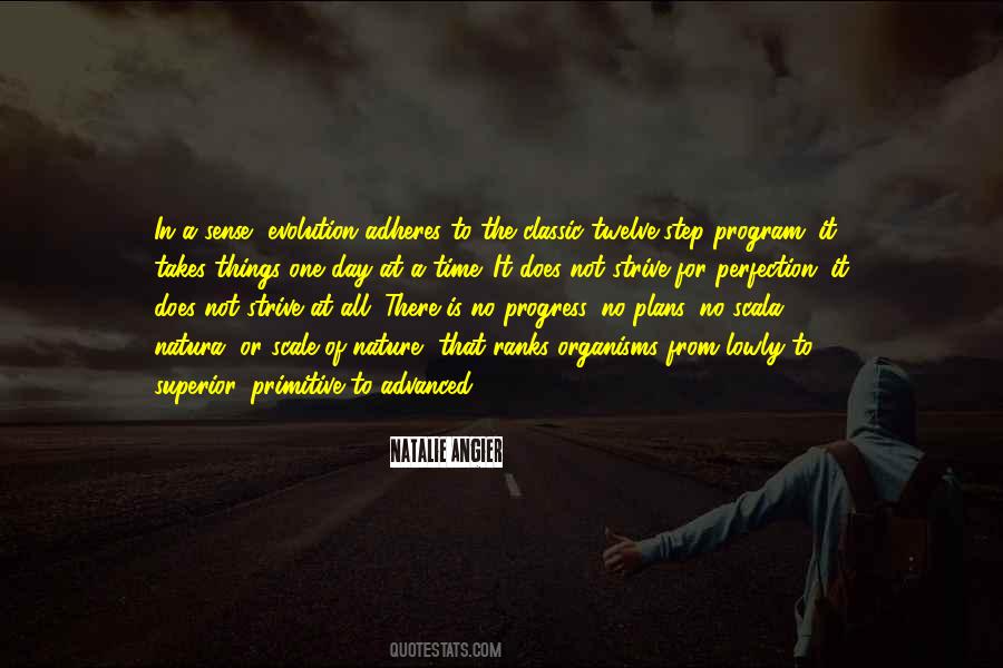 Strive For Progress Not Perfection Quotes #930073