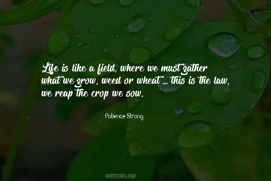 Strong Law Quotes #1424265