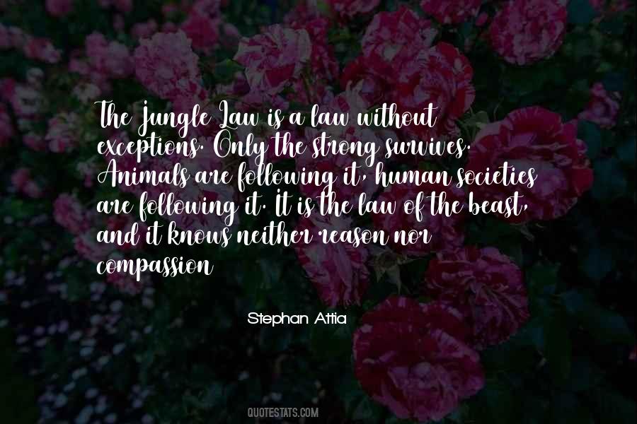 Strong Law Quotes #1772299