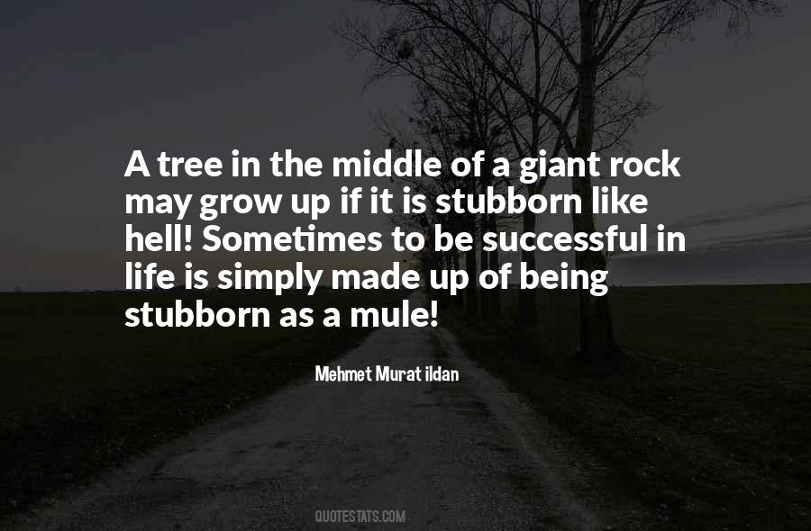 Stubborn Mule Quotes #1387156