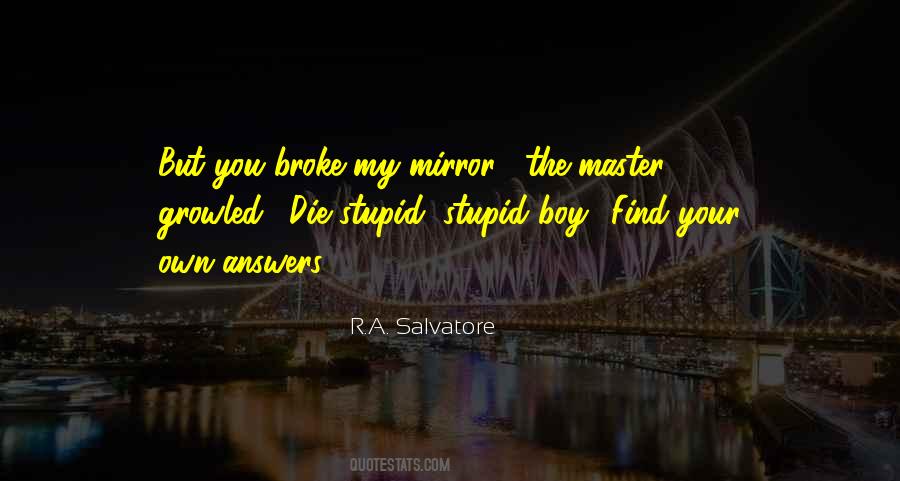 Stupid Boy Quotes #1044768