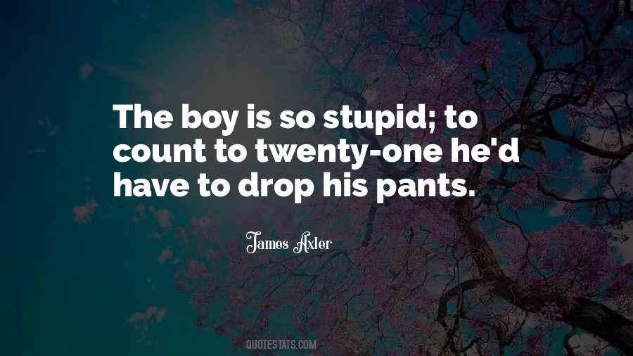 Stupid Boy Quotes #1234159