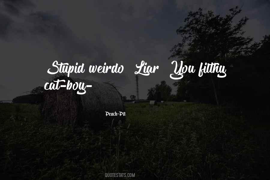 Stupid Boy Quotes #401283