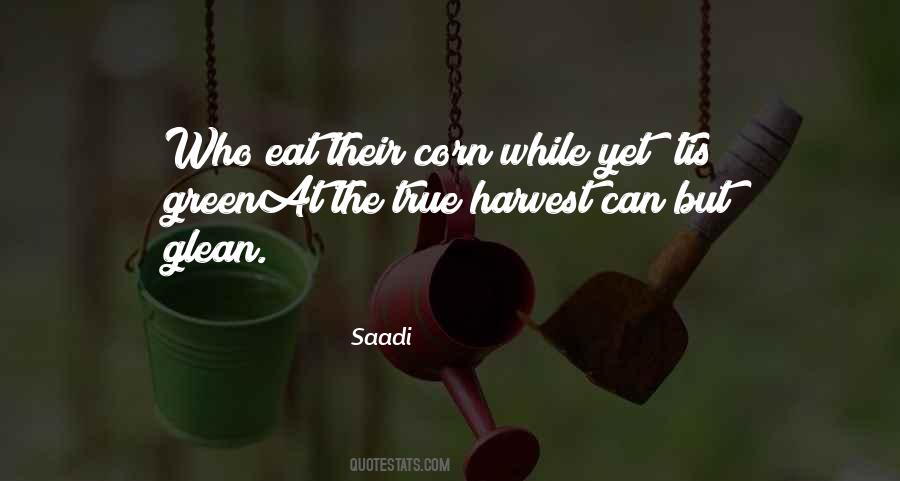 Quotes About Saadi #517917