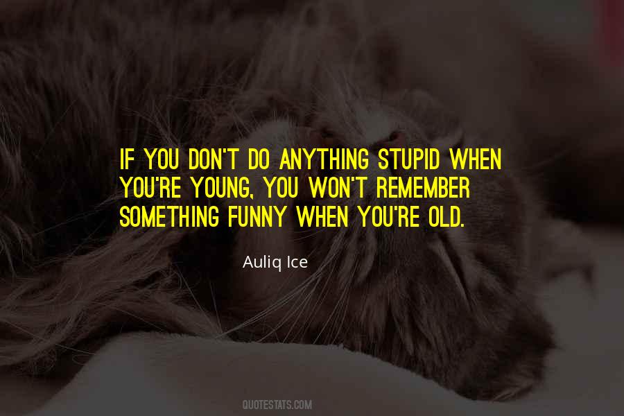 Stupidity Fun Quotes #1170654