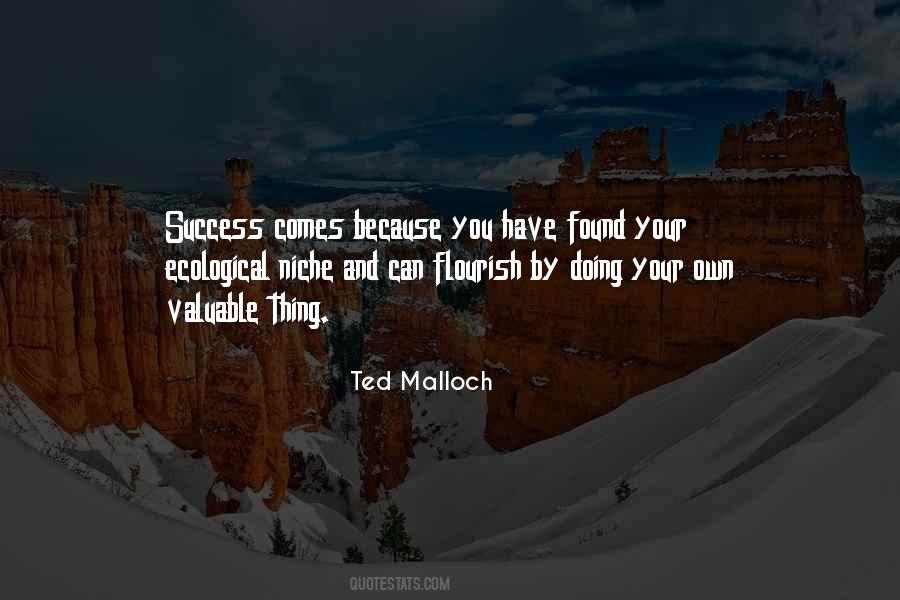 Success Comes Quotes #292819