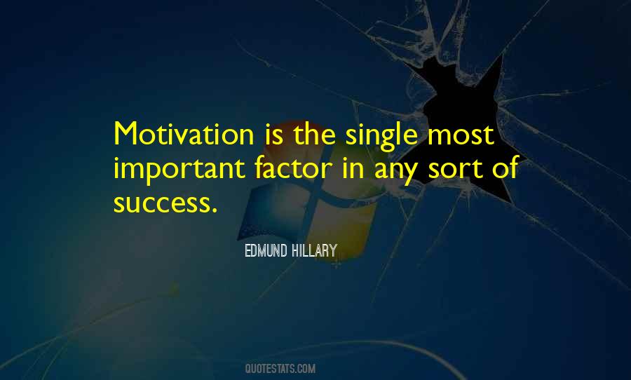 Success Factor Quotes #1184347