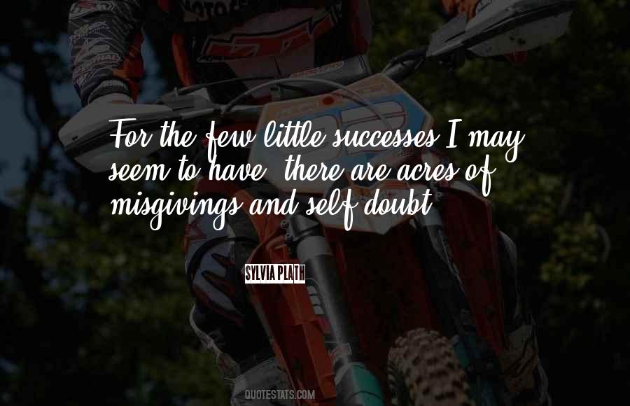 Successes Quotes #161587 Successes Quotes #161587