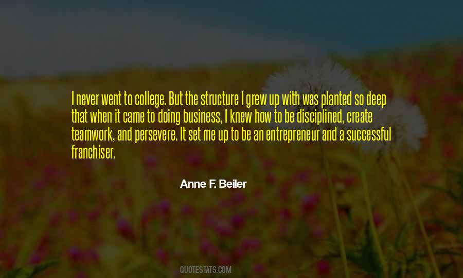 Successful Entrepreneur Quotes #1521374