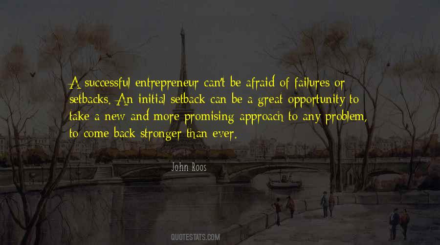 Successful Entrepreneur Quotes #451338