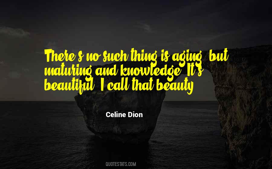 Such Beauty Quotes #133861