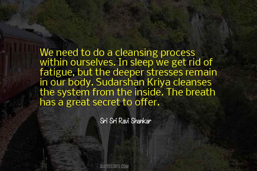 Sudarshan Kriya Quotes #1325844