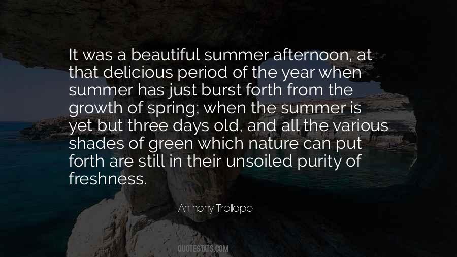 Summer Days Quotes #850427